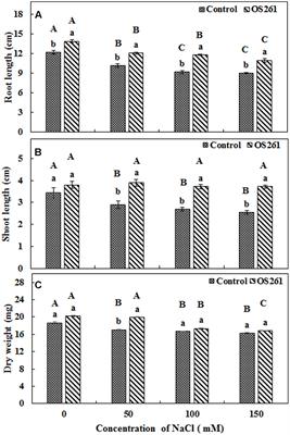 Beneficial Soil Bacterium Pseudomonas frederiksbergensis OS261 Augments Salt Tolerance and Promotes Red Pepper Plant Growth